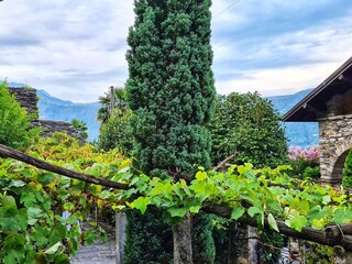 Unsere Pergolas auf dem Vorplatz