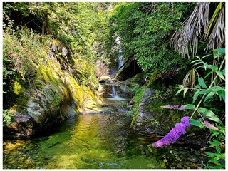 Bach mit Wasserfall