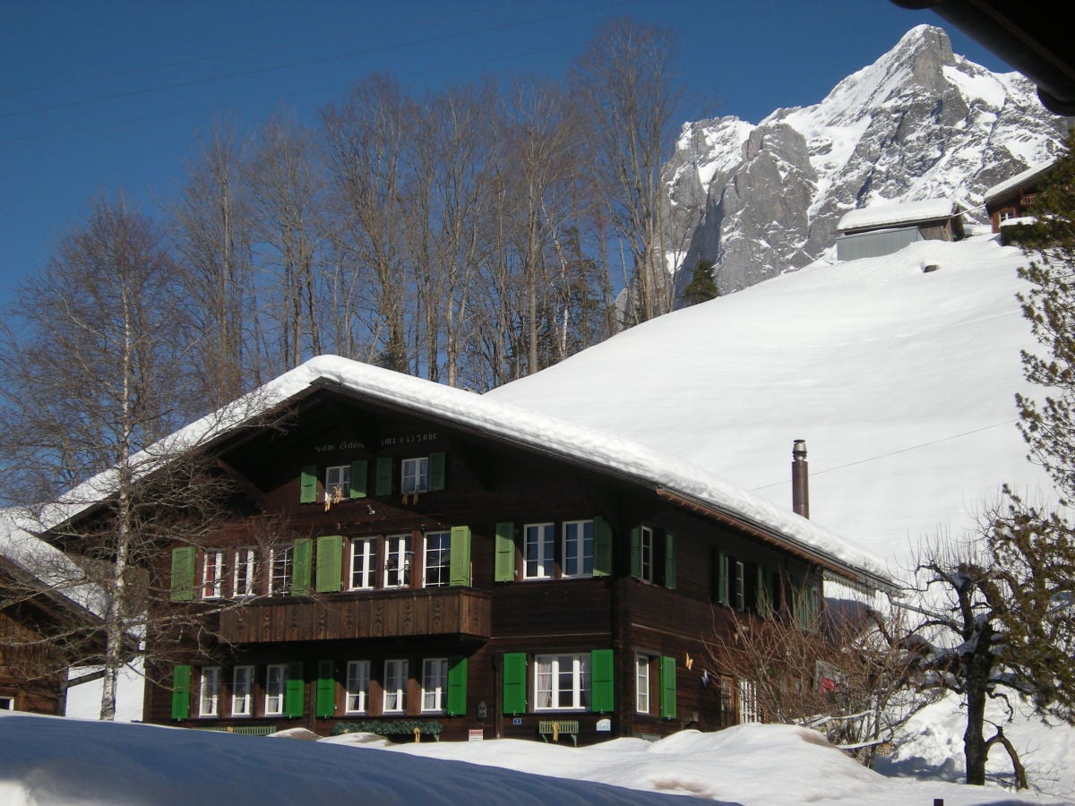 Chalet Mettenberg, im Hintergrund das Wetterhorn