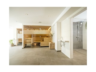 Apartment Reith im Alpbachtal Swimming Pool 31
