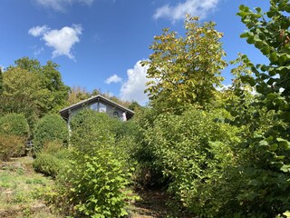 Verwunschener Garten