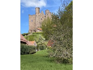 Burg Hanstein / Kirchblüte