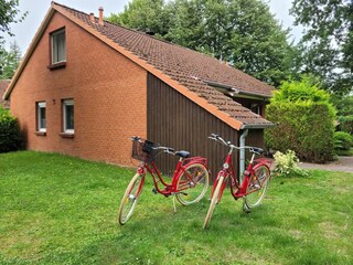Zwei 28 Zoll Fahrräder aus 2024