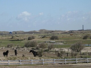 Appartamento per vacanze Norderney Registrazione all'aperto 2