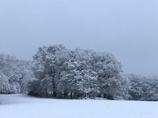 Winterlandschaft