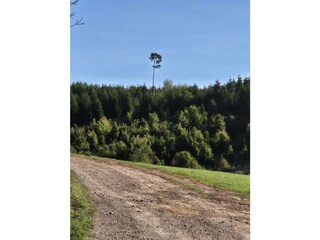 Natur Umgebung