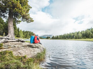 Chalet Turracherhöhe  11