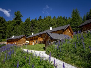 Chalet Turracherhöhe Außenaufnahme 3