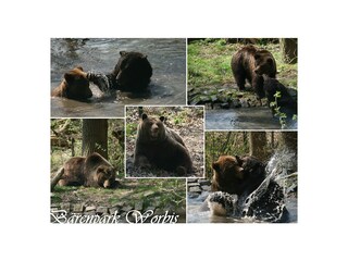 Bärenpark Worbis