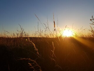 Sonnenuntergang auf dem Siebenberg