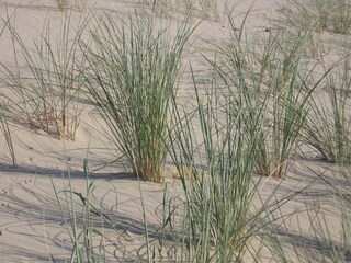 Casa per le vacanze Schoorl Ambiente 18