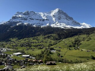 Ferienwohnung Grindelwald Außenaufnahme 11