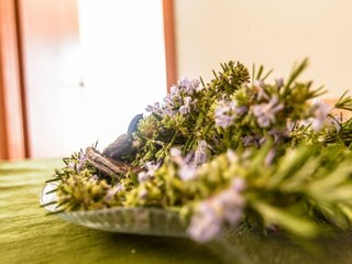 Appartamento Zivogosce Registrazione all'aperto 4