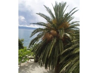Appartement Podstrana  9