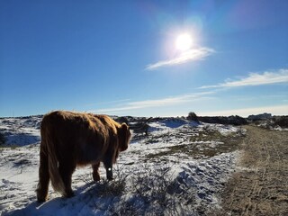 Appartamento per vacanze Egmond aan Zee Ambiente 30