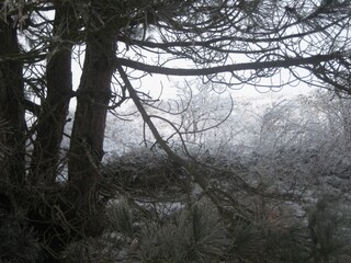 Appartamento per vacanze Egmond aan Zee Ambiente 28