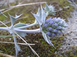 Appartamento per vacanze Egmond aan Zee Ambiente 29