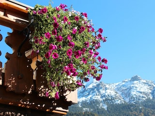 Bergblick vom Garten aus