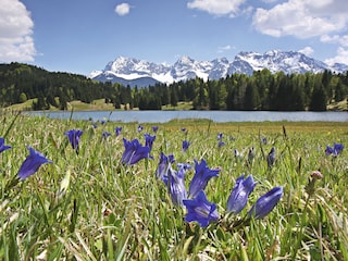 Sommer in der Alpenwelt Karwendel