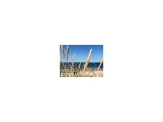 Ferienwohnung Westerland Außenaufnahme 8