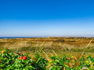 Landschaft