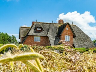 Hauptansicht