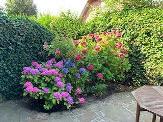 Gartenblick