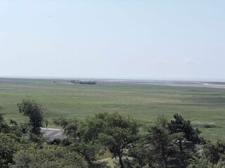 Ferienwohnung St. Peter-Ording Umgebung 19