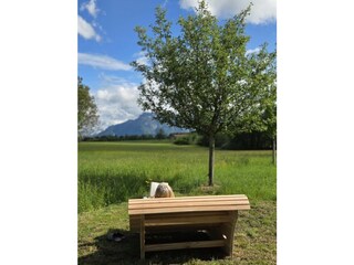 Holzliege zum Verweilen