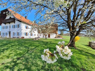 Blick auf das Bauernhaus mit unserem separate Mooshaisl