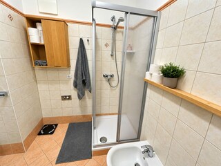 Appartamento Bad Kleinkirchheim Caratteristiche 12