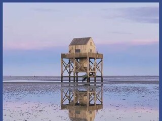 Holiday house Lauwersoog Environment 33