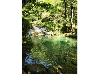 Natursteinbecken