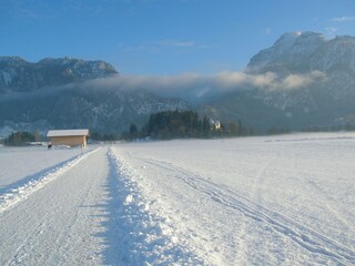 Winter im Schwanengau