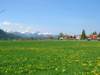 Schwangau im Frühjahr