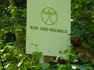 Holiday apartment Lahnstein Outdoor Recording 12