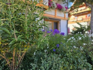 Wohnung in Obertal mit Wintergarten, Gartenansicht