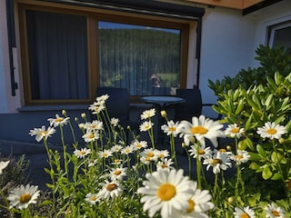 Wohnung in Obertal mit Wintergarten, Gartenansicht