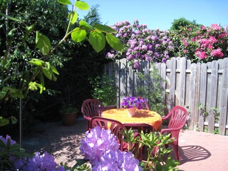 Appartamento per vacanze Varel Registrazione all'aperto 3