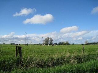 Vakantieappartement Varel Omgeving 18