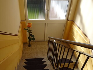 Appartamento per vacanze Varel Registrazione all'aperto 4