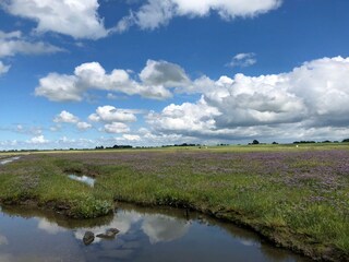 Appartement de vacances Varel Environnement 26