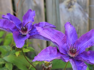 Appartement de vacances Varel Environnement 24