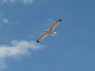 Appartamento per vacanze Varel Ambiente 21