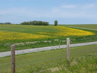 Vakantieappartement Varel Omgeving 25