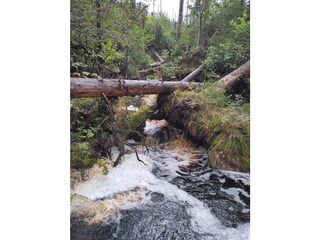 Wasserregal