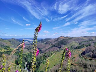 Blick ins Okertal