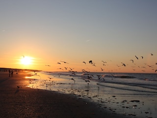 Einer dieser Sonnenuntergänge