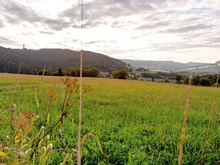 Aussicht vom Musenberg (200m vom Haus)