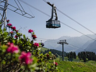 Fahrt über Alpenrosen